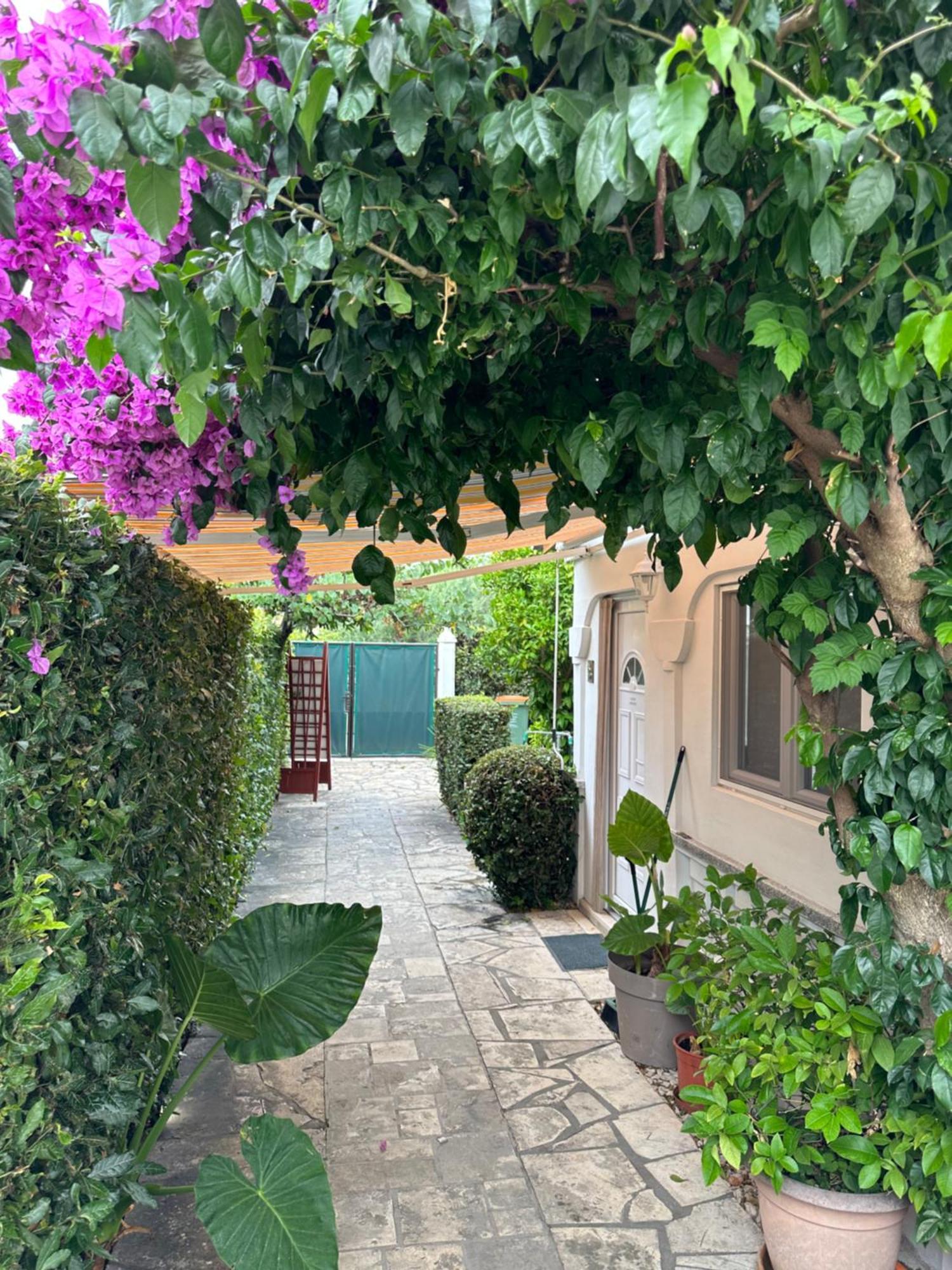 Luxury Zola Apartman